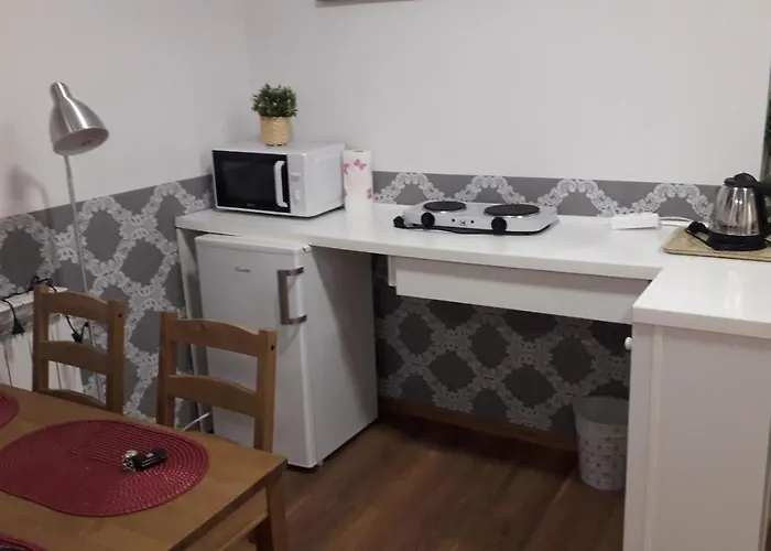 公寓 Magnolia 奥斯威辛